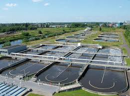 Nutrient Removal